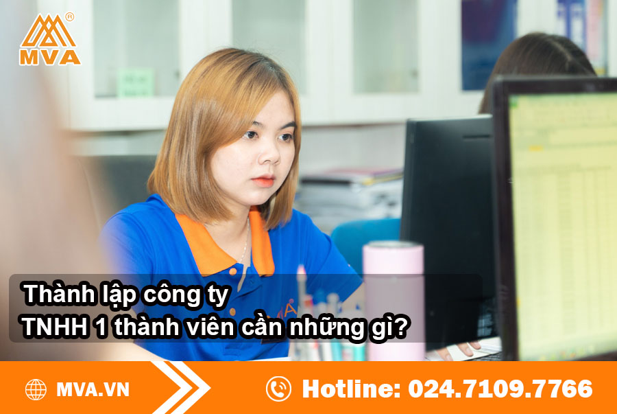 Thành lập công ty TNHH 1 thành viên cần những gì?