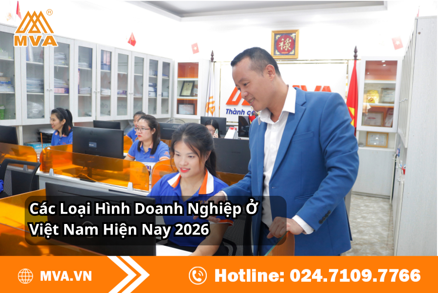 Các Loại Hình Doanh Nghiệp Ở Việt Nam Hiện Nay 2026: Đặc Điểm, Ưu Nhược Điểm Và Cách Lựa Chọn
