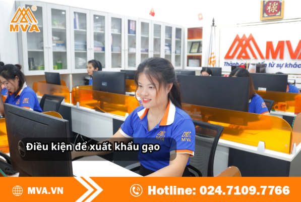 Điều kiện để xuất khẩu gạo theo quy định mới nhất
