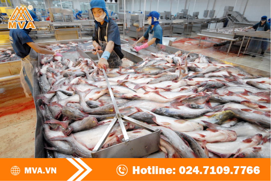 Điều kiện để Kinh doanh thủy sản