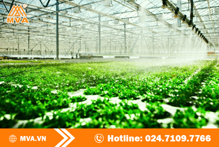 Điều kiện để Kinh doanh dịch vụ xử lý vật thể thuộc diện kiểm dịch thực vật