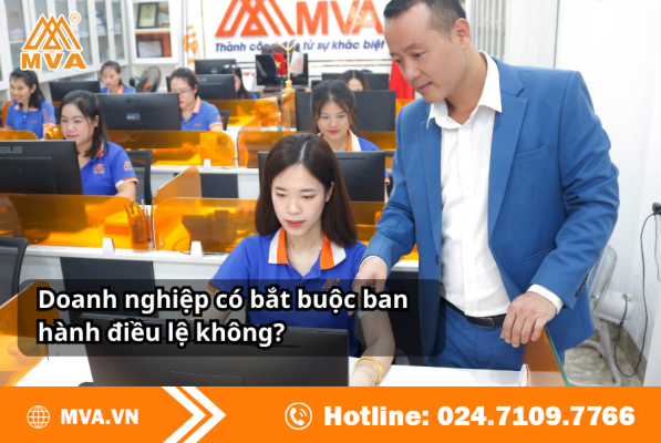 Doanh nghiệp có bắt buộc ban hành điều lệ không?